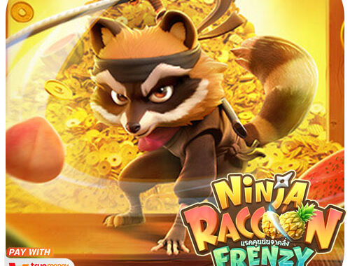 Ninja Raccoon Frenzy เกมสล็อตแอ็คชั่นลุยในป่าไผ่